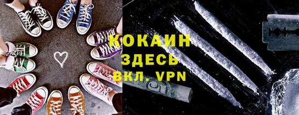 PSILOCYBIN Киренск