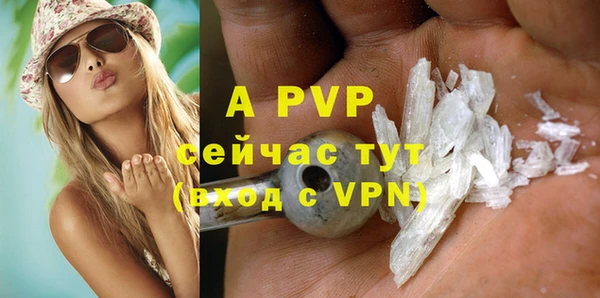 PSILOCYBIN Киренск