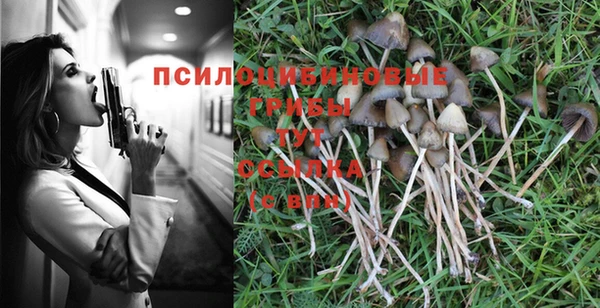 PSILOCYBIN Киренск
