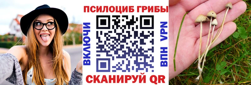 Псилоцибиновые грибы GOLDEN TEACHER  Купить где  Верхоянск 